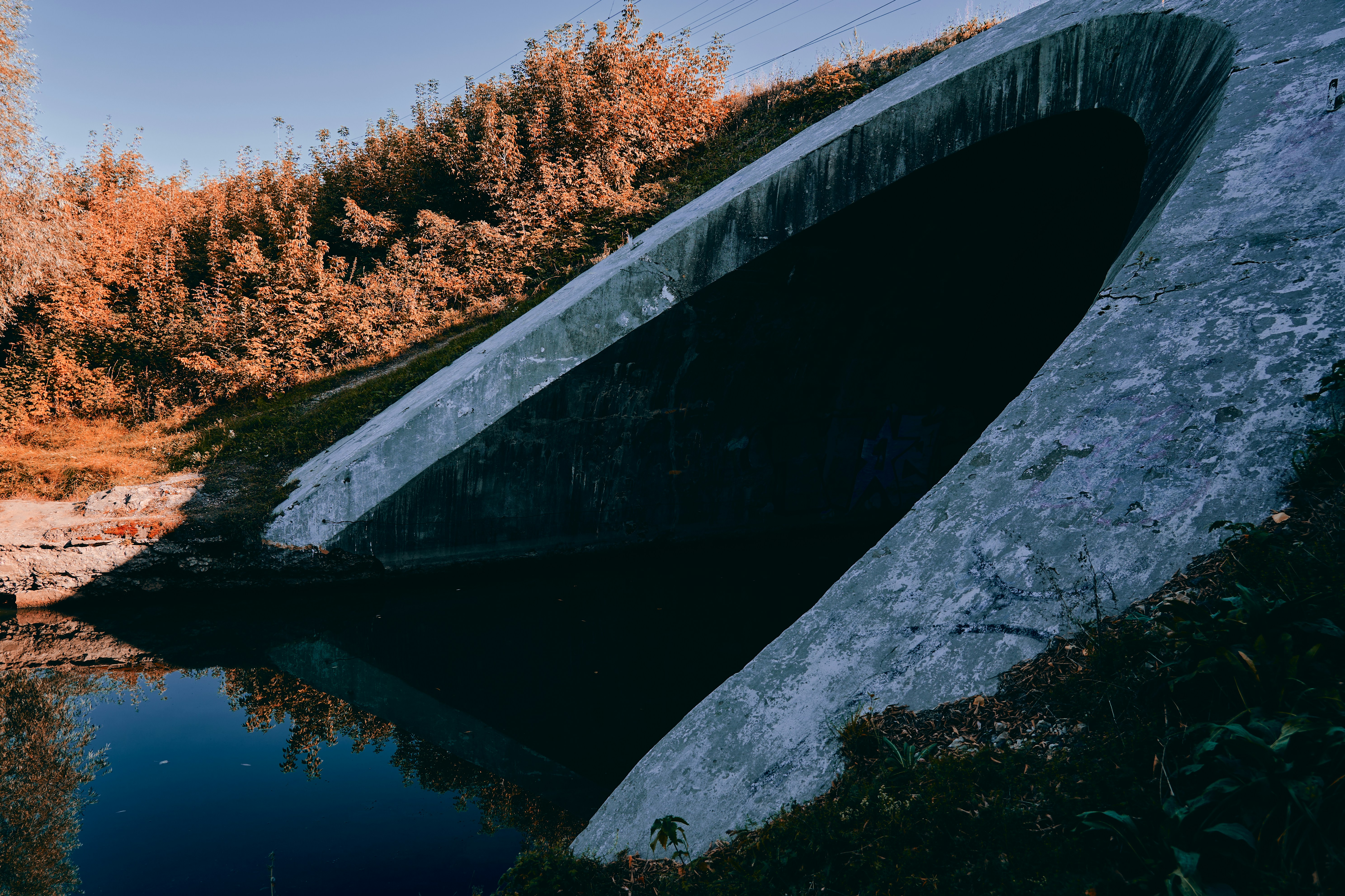 Free Image for demo purposes, sourced from unsplash.com